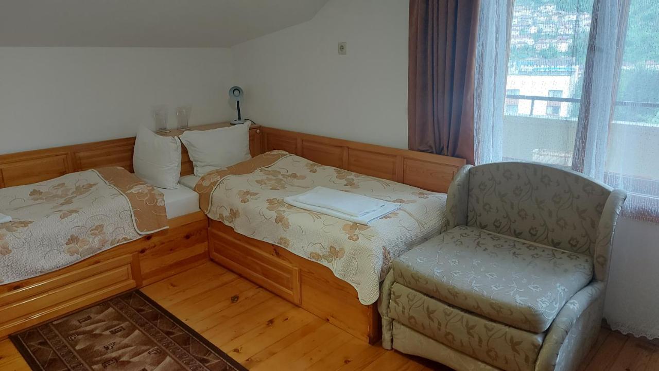 Vitosha Guest House 代温 外观 照片