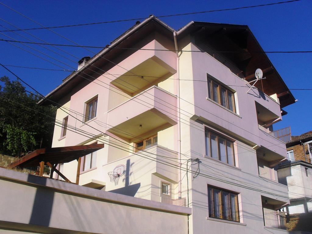 Vitosha Guest House 代温 外观 照片