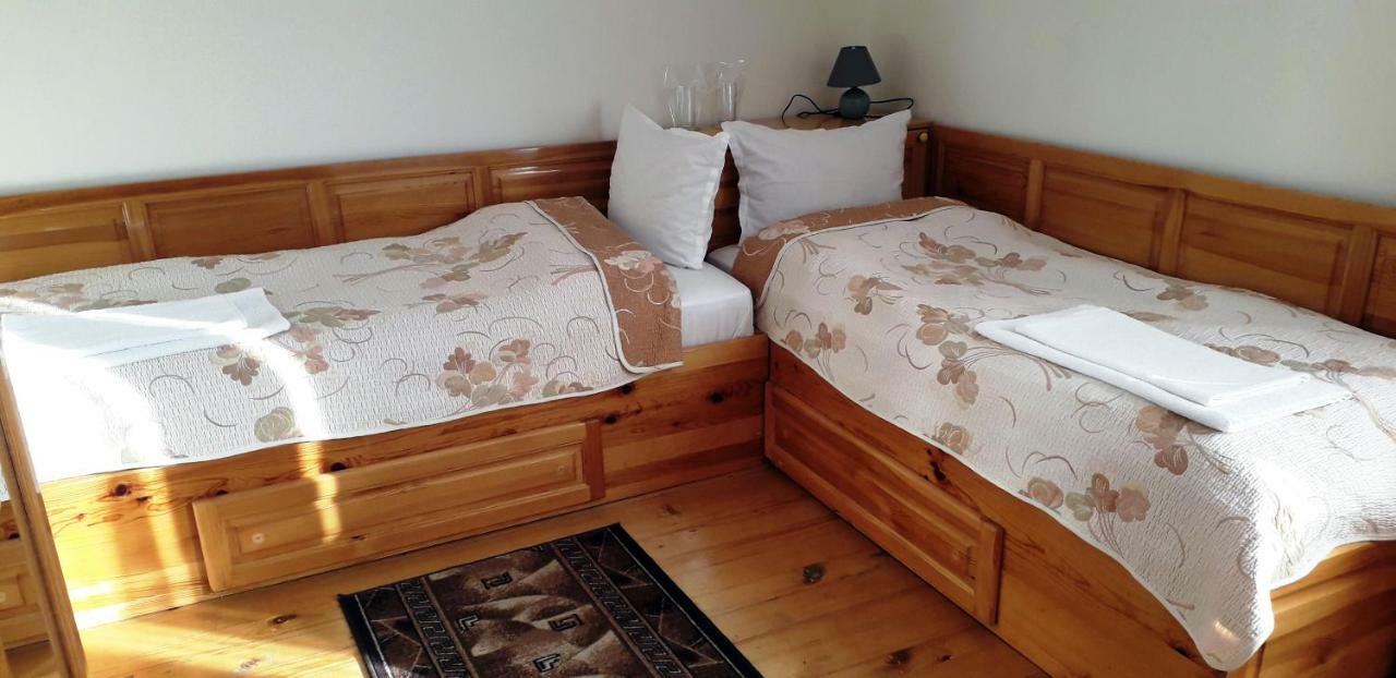 Vitosha Guest House 代温 外观 照片